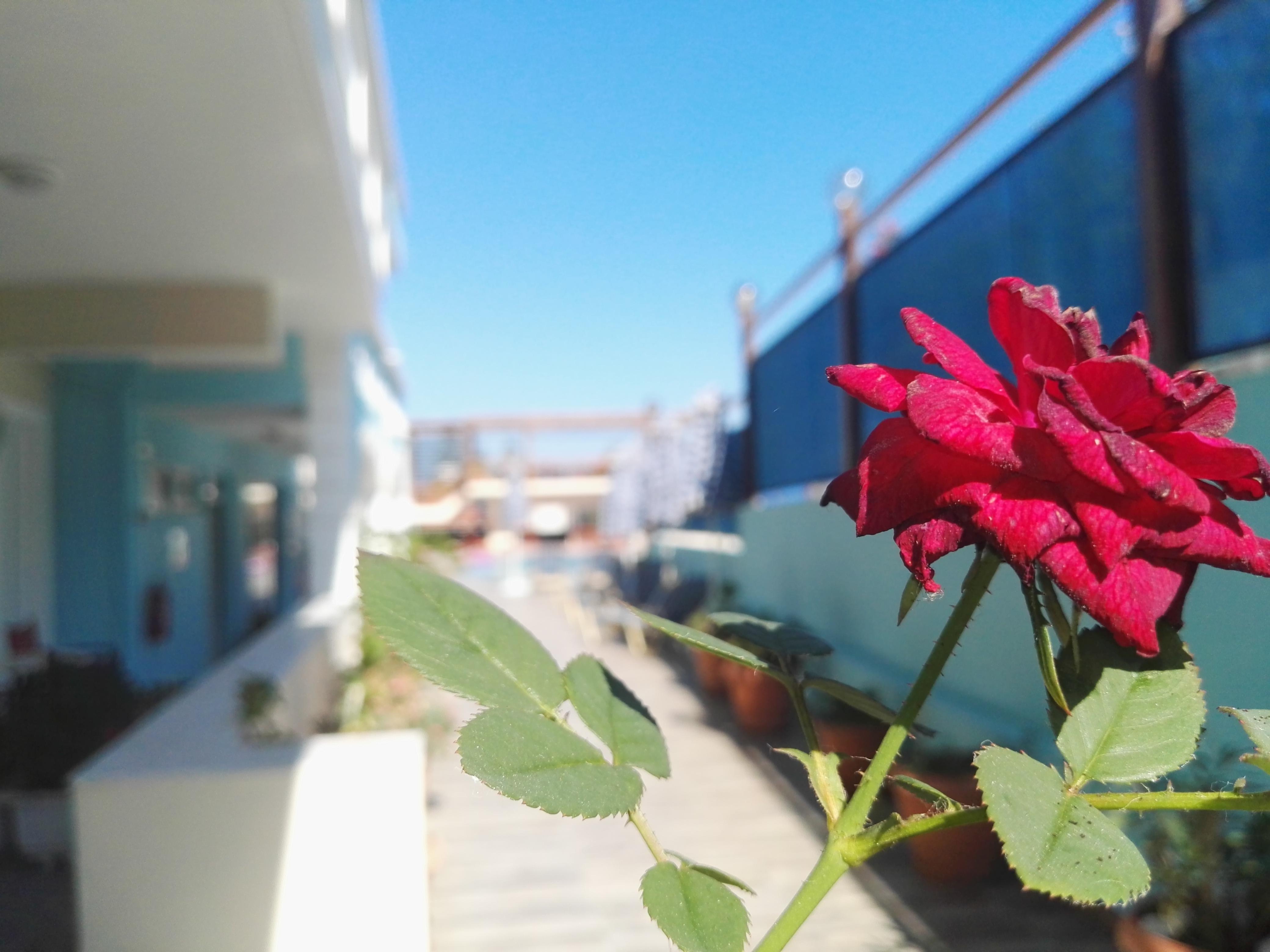 Epis Hotel Agia Marina Eksteriør billede